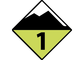 Danger level icon